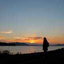 화양연화농장 이미지