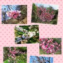 은혜병원 이미지