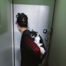 달콤여시 Daum카페