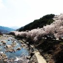 화개장터 이미지