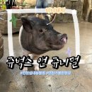 쥬니멀 | 인천데이트 코스 추천 특별한 체험이 가능한 실내동물원 쥬벅스앤쥬니멀 후기