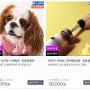 상대원 동물병원 이미지