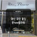 24 | 양산 물금 꽃집 문희플라워 무인 꽃가게 방문 후기