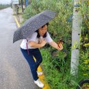 2025.10.07 성남 고등동 메가펙토리 창고형약국 대형약국을 찾아서~ 이미지