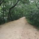 대구 달성(大邱 達城) 이미지