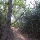 광산구-154 이미지