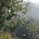 제주올레호텔 이미지