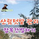 더드림팜