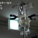 진통신 네이버블로그