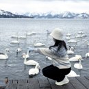 이오사슴 이미지