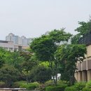 이의초등학교 후문 이미지