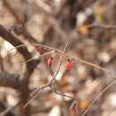 참어울림 이미지