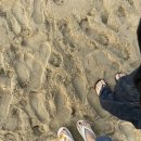 하조엔 게스트하우스 이미지