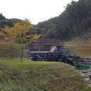 하동편백자연휴양림 이미지