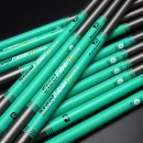 아이언피쉬 이미지