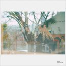 주현목장 이미지