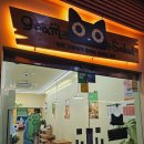 그램샐러드(GRAM SALAD) 이미지