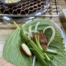 돼지영농후계자(초전점) 이미지