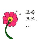 사랑해 엄마(주말) 이미지