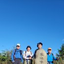 신풍농장 이미지