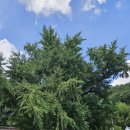 화순이서우체국 이미지