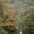 251018(토) 설악산 단풍산행 : 십이선녀탕 복숭아탕(질매실 대장님) 이미지