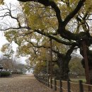 충효큰마을 이미지