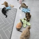 냥이는꿀꿀 이미지