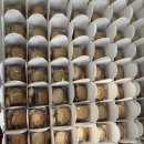 호키쿠키 이미지