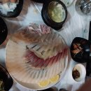 동해활어촌회포차 | 동해 회생각포차 방문 후기 – 진짜 가성비 회포차!