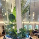 이재모피자제주1호점 이미지