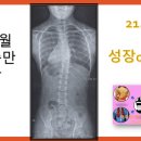 우리메디칼보조기 네이버블로그