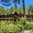 태백고원자연휴양림 자동차야영장 | 도심을 벗어나 숲속으로, 태백고원자연휴양림에서 진짜 쉼을 만나보세요