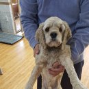 광탄면 삼거리 이미지