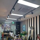 살롱드로랑 이미지