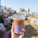 꽃과별사주타로카페 | 우베 뜻 무슨 맛? 투썸플레이스 투썸 우베 카페라떼 신메뉴 솔직후기