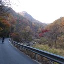 국립두타산자연휴양림 이미지