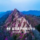 알파세무회계사무소