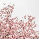 승월마을회관 이미지