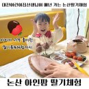 아인팜 | [내돈육아]대전육아블로거가 매년 가는 논산딸기체험::논산 아인팜 솔직후기