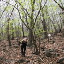 충주호 주봉산 이미지