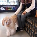 장자호수공원(반려견놀이터) 이미지