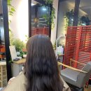 장정원헤어 | [삼성중앙역 미용실]살롱드라무이 장정원 원장님 애쉬브라운 염색 후기