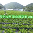 (주) 진농산업 이미지