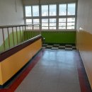 신사초등학교 이미지