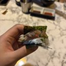 쇼부네대박조개구이 | [광주/풍암동] 해산물이 신선하고 안주 맛집 내돈내산이자카야 - 쇼부 풍암점