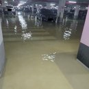 &#34;코로나 때 지은 아파트 무조건 피해라&#34;…경고 나온 이유 이미지