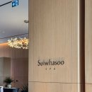 망고디자인 | 신라모노그램 다낭 망고빙수 금액 및 후기 (라지 사이즈 4개 주문)