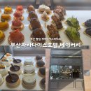 파라다이스 부티크 이미지