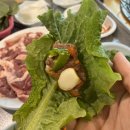 매월농원 이미지